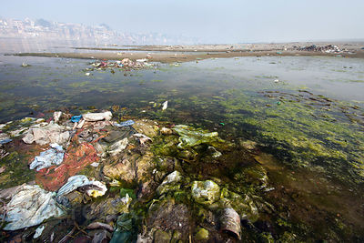 Garbage in the Ganges River in Varanasi, India. This is one of the most revered stretches of India's holiest river.