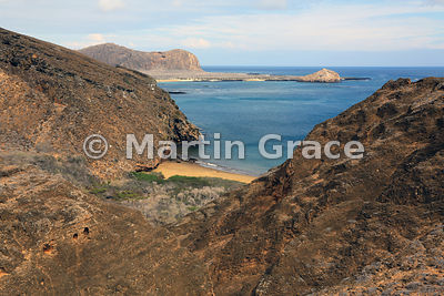 The volcanic landscape at Punta Pitt, showing deciduous shrub vegetation above the beach, Punta Pitt, San Cristobal, Galapagos