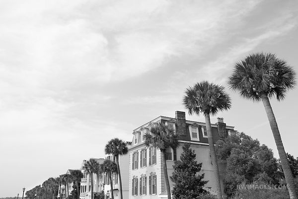 CHARLESTON BLACK AND WHITE