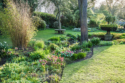 Undulating border in the Pond Garden contains hellebores, trilliums, ferns and sedges with hardy geraniums in the summer. York Gate Garden, Adel, Leeds, Yorkshire