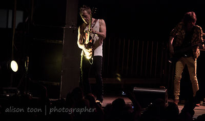 Blondie, Sunrise At Night, Citrus Heights, California, 2012
