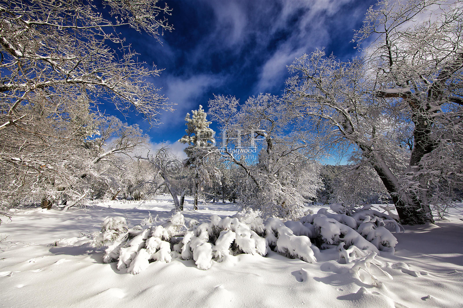 Brent Haywood Photography MountLagunaSnowPhoto