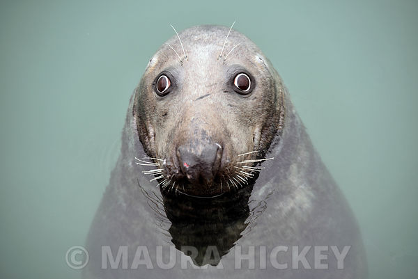 Portfolio photographers