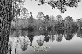 Magnolia Plantation, Charleston, SC, USA