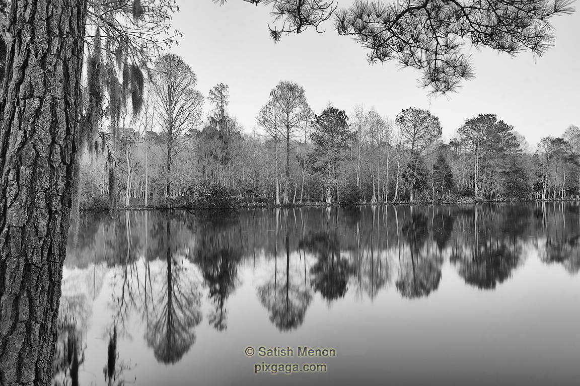 Magnolia Plantation, Charleston, SC, USA