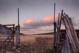 Wooden gate and fence for reindeer