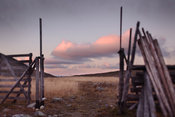 Wooden gate and fence for reindeer