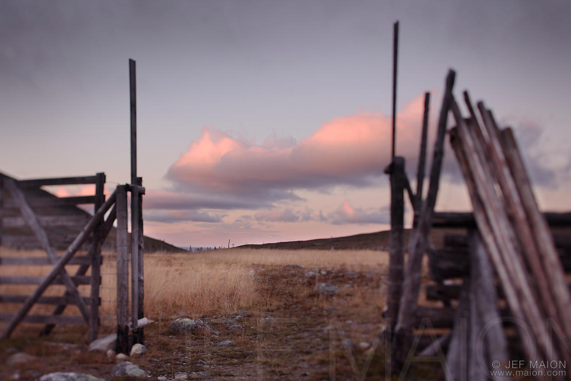 Wooden gate and fence for reindeer