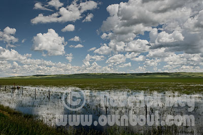 Cloud Reflections