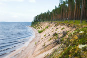 Sandy Beach of Island Ärjä