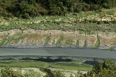 Algues vertes Bretagne