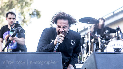 The Fever 333