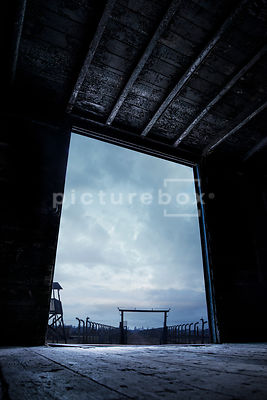 An atmospheric image of the prison camp Birkenau, Auschwitz, Poland, taken from inside an old rail car.