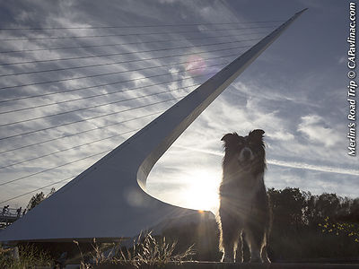 Merlin Eclipses Solar Eclipse