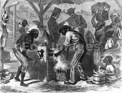 First cotton gin