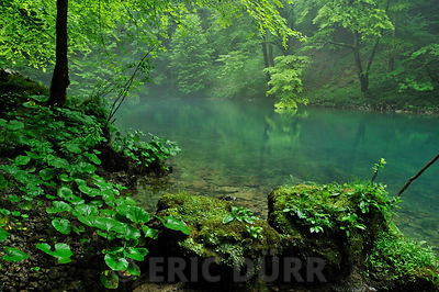 Rivière Kupra en Croatie