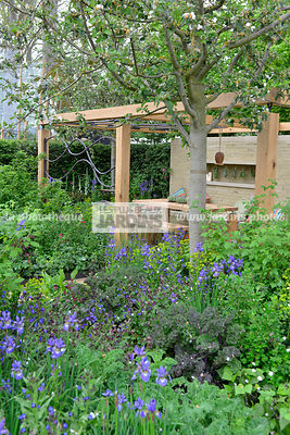 Petit jardin, urbain, Style champêtre contemporain, Massif fleuri : Iris sibirica 'Tropic Night', Pergola en bois. Paysagiste : Adam Frost, CFS, Angleterre