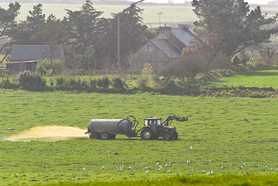 Algues vertes Bretagne