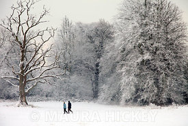 Castletown Estate, Celbridge, Co. Kildare, saturday..09.01.09.Pic. Maura Hickey/086 8541120.