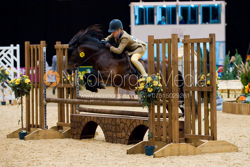 Image 122cms Working Hunter Pony Class, Horse of the Year Show 2010