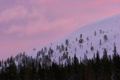 Fell slope