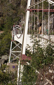 Alexandra suspension bridge at Cataract Gorge, Launceston, Tasmania, Australia; Portrait