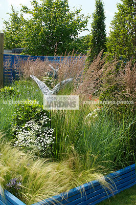Jardin style sauvage avec graminées : Stipa tenuissima, Calamagrostis x acutiflora 'Karl Foerster', Paysagiste : Heather Appleton, Hampton Court, Angleterre