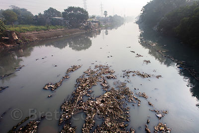 Trash fills a creek near Dhapa, Kolkata, India. Dhapa is the site of Kolkata's largest landfill, and numerous recycling and incineration operations.