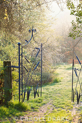 Morning sun reaches a gate made by the late Dave Bissell depicting dragonflies and bulrushes. Moors Meadow Garden and Nursery, Bromyard, Herefordshire, UK