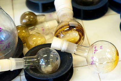 Ballon de laboratoire avec extraits de vegetaux