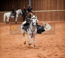 Rockin' Horse Stunt Riders