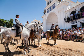 El Rocio romería, 2012