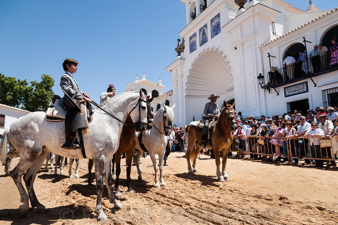 El Rocio romería, 2012