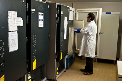 Chimiotheque, stockage cryogenique des composes chimique des vegetaux