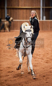 Rockin' Horse Stunt Riders