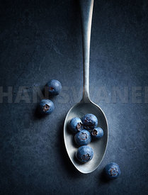 Blueberries on spoon Still Life
