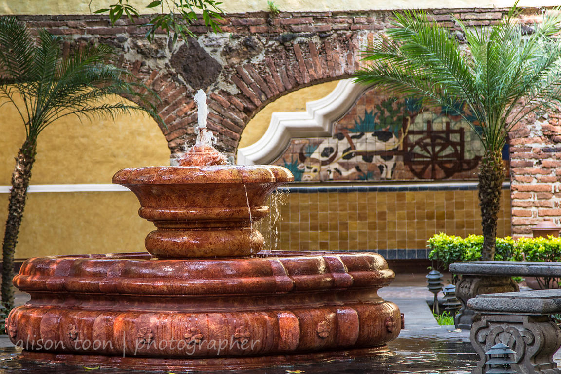 ALISON TOON PHOTOGRAPHER Jose Cuervo hacienda and distillery