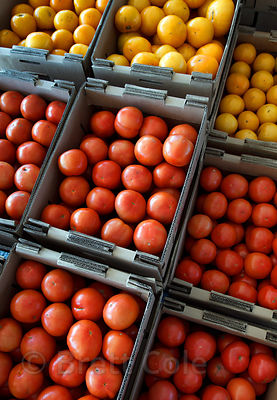 Locally grown tomatos for sale at a wholesale market in Amish country, Lancaster, Pennsylvania