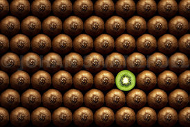 Sliced kiwi fruit standing out between a group of hole kiwi's