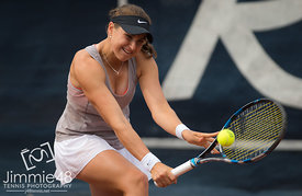 Tennis: 2017 Reinert Open