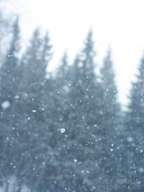 Snow flakes during snowstorm