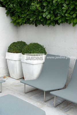Fauteuil par Francesco Rota, Conception et réalisation : James et William Hartley. English Garden Group