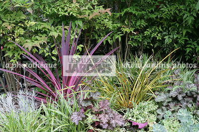 Massif, Libertia ixioides 'Goldfinger', Cordyline 'Pink Passion', Heuchera, Carex, Jardin MAP