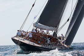 ELF_MG_2258