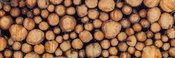 Logs