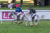 Courses de poneys