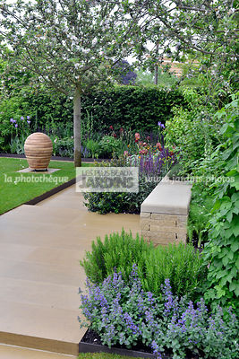 Petit jardin, urbain, Style contemporain : Rosmarinus officinalis (romarin), Nepeta faassenii 'Blauknirps', Paysagiste : Adam Frost, CFS, Angleterre