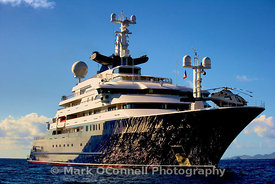 Octopus in St Barts