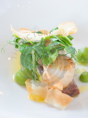 Pan Seared King Scallops with braised pigs cheek, garden pea puree and parsnip crisp.