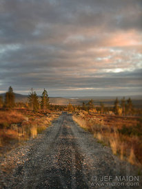 Dirt trail on open sunset fell